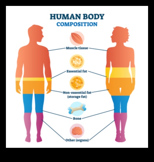 Σύνθεση σώματος Τι πρέπει να γνωρίζετε 4 Η επίδραση της σύνθεσης του σώματος στις δίαιτες απώλειας βάρους