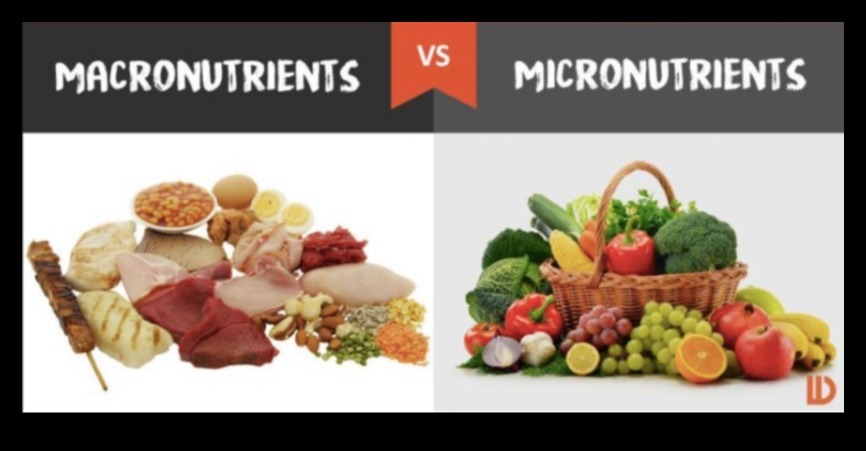 Τα μικροθρεπτικά συστατικά έχουν σημασία: ενσωματώνουν βιταμίνες και μέταλλα