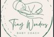 Guardians of Tiny Wonders: Mastering the Essentials of Baby Safety