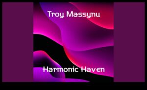 Harmonic Haven: Musical Instruments and Accessories for the Music Enthusiast