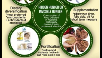 Τα μικροθρεπτικά συστατικά έχουν σημασία: ενσωματώνουν βιταμίνες και μέταλλα