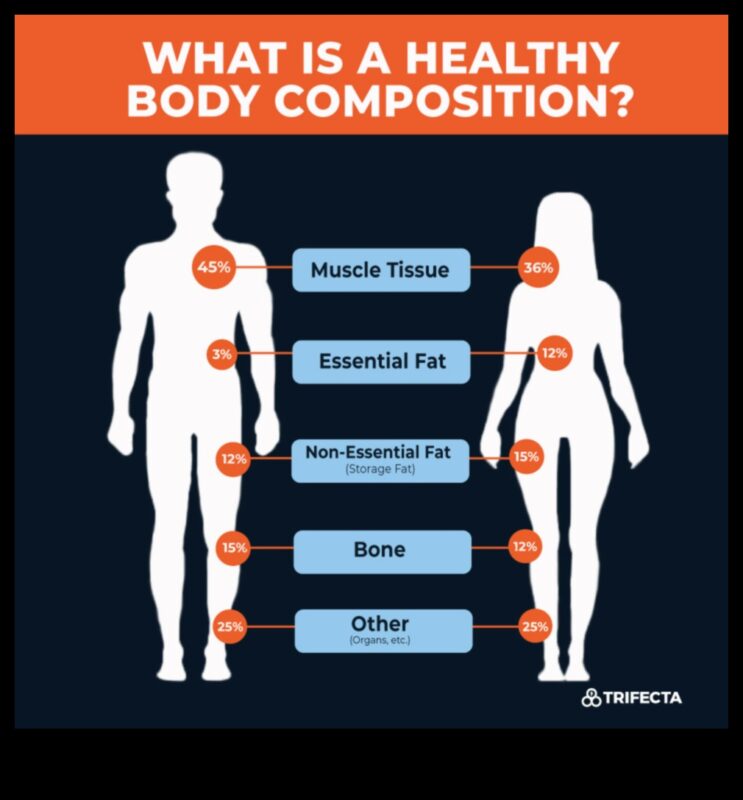 Η επίδραση της σύνθεσης του σώματος στις δίαιτες απώλειας βάρους